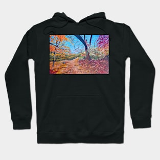 Reservation Trail Hoodie